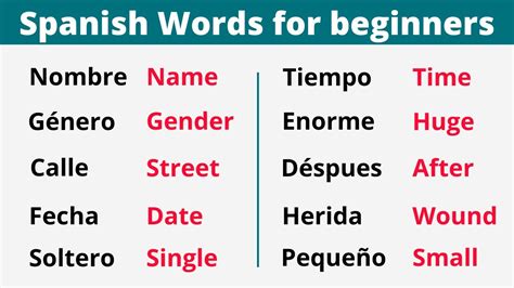 spanish words for beginners